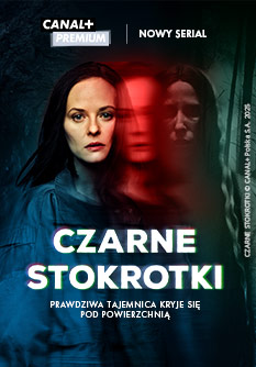 Czarne stokrotki